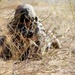 U.S. Army Reserve Soldiers Train to Maintain Overall Mission Readiness