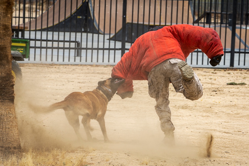 Marines bond with community during Summer Splash