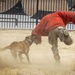 Marines bond with community during Summer Splash