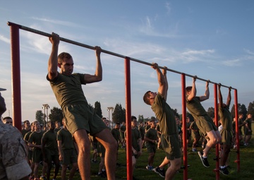 Alpha, Charlie, and Delta Company IPFT