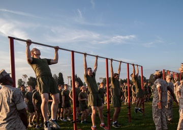 Alpha, Charlie, and Delta Company IPFT