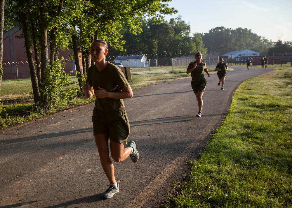 Alpha, Charlie, and Delta Company IPFT