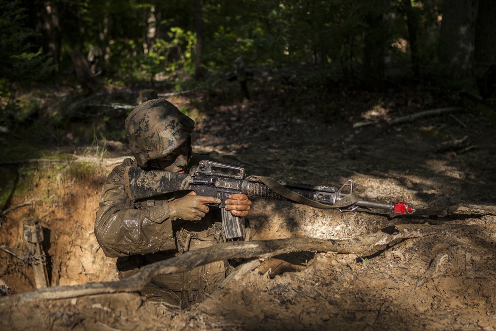 Lima Company Combat Course