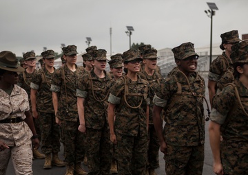 Alpha, Charlie, Delta Co. pick up day