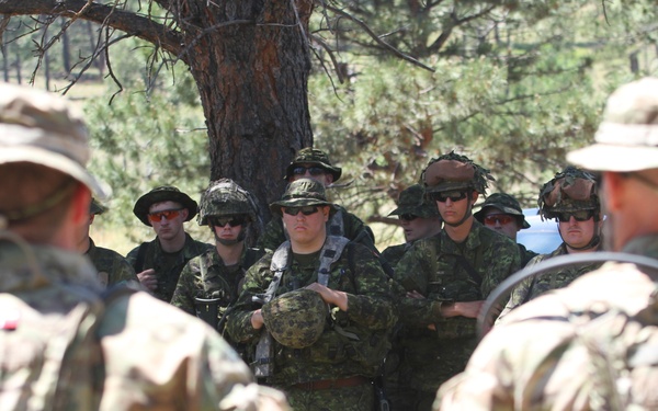 Canadian Army conducts urban training