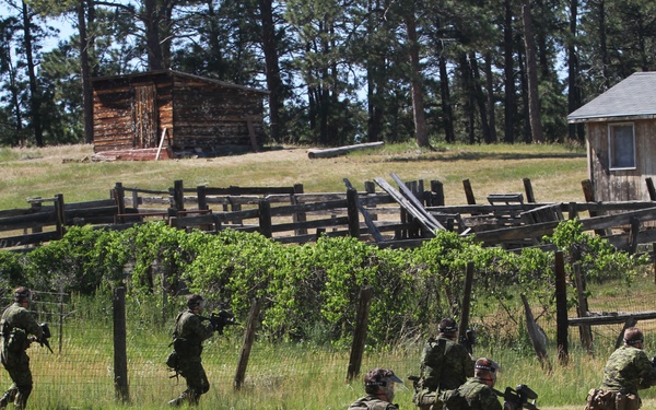 Canadian Army conducts urban training