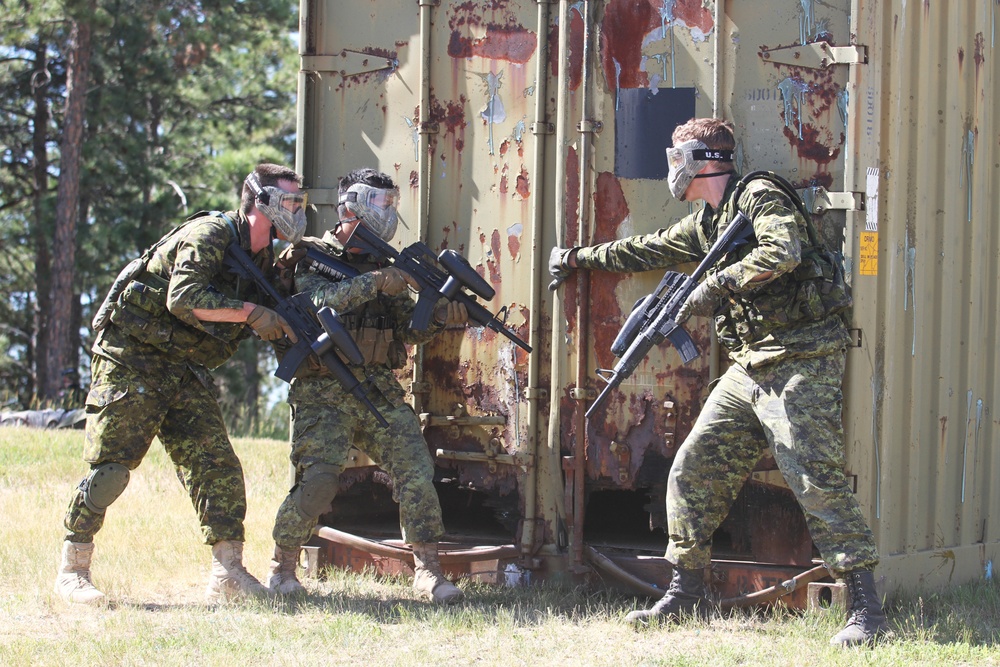 Canadian Army conducts urban training