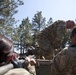Leadership Reaction Course- Golden Coyote