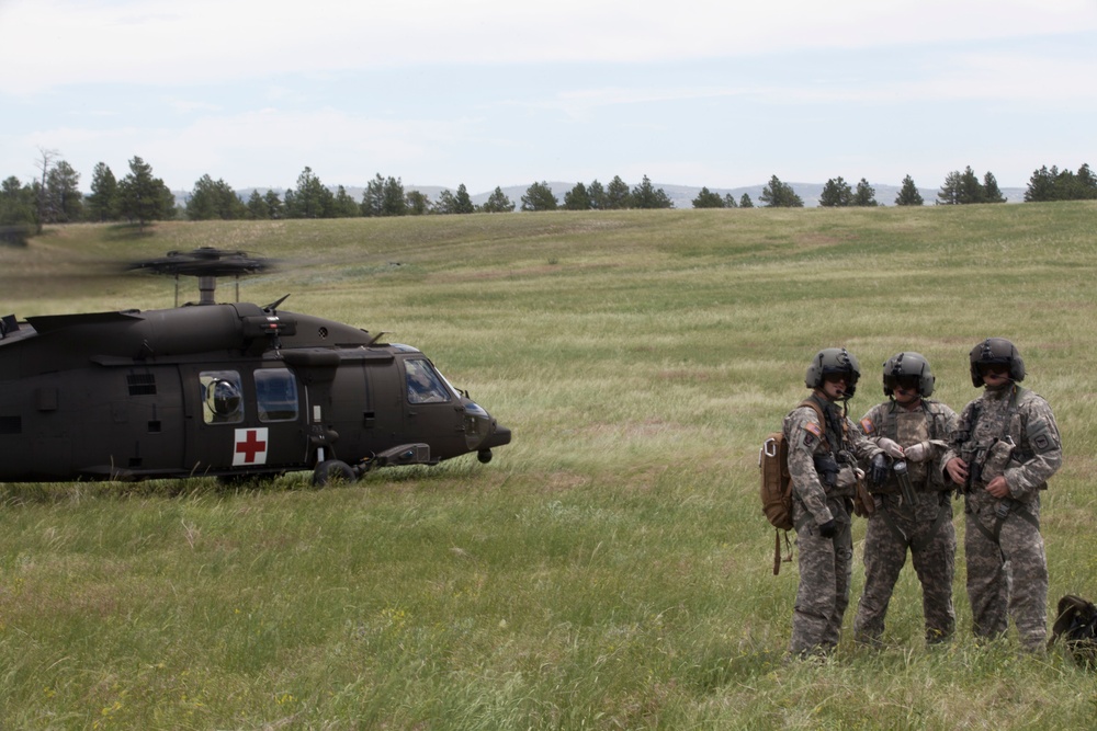 Casualty Evacuation- Golden Coyote Casualty Evacuation- Golden Coyote