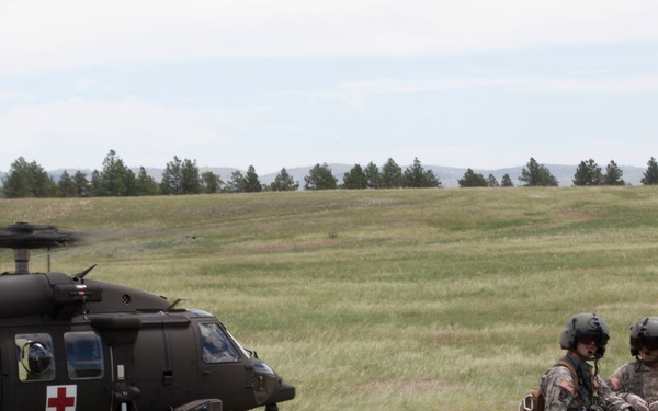 Casualty Evacuation- Golden Coyote