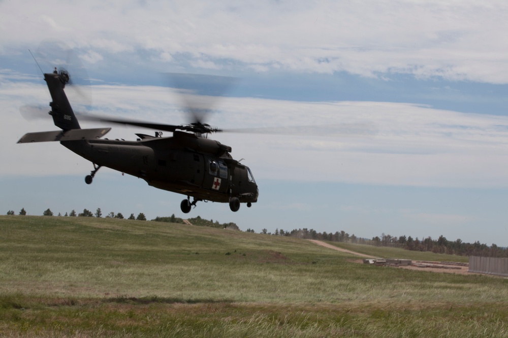 Casualty Evacuation- Golden Coyote Casualty Evacuation- Golden Coyote