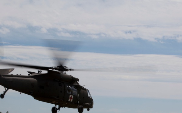 Casualty Evacuation- Golden Coyote
