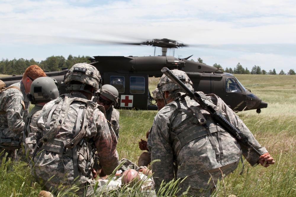 Casualty Evacuation- Golden Coyote Casualty Evacuation- Golden Coyote
