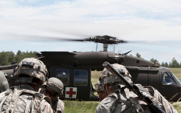 Casualty Evacuation- Golden Coyote