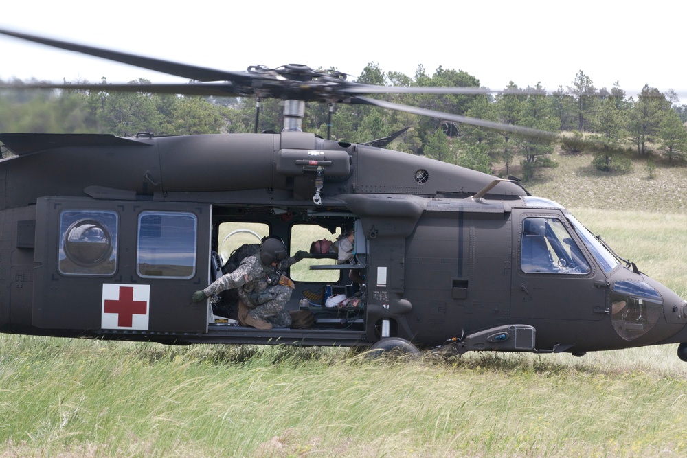 Casualty Evacuation- Golden Coyote Casualty Evacuation- Golden Coyote