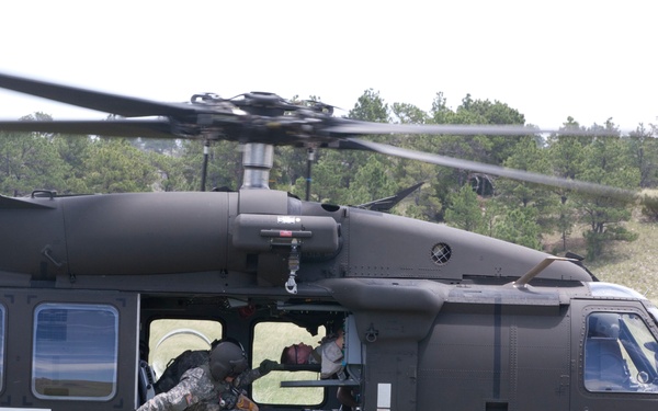 Casualty Evacuation- Golden Coyote