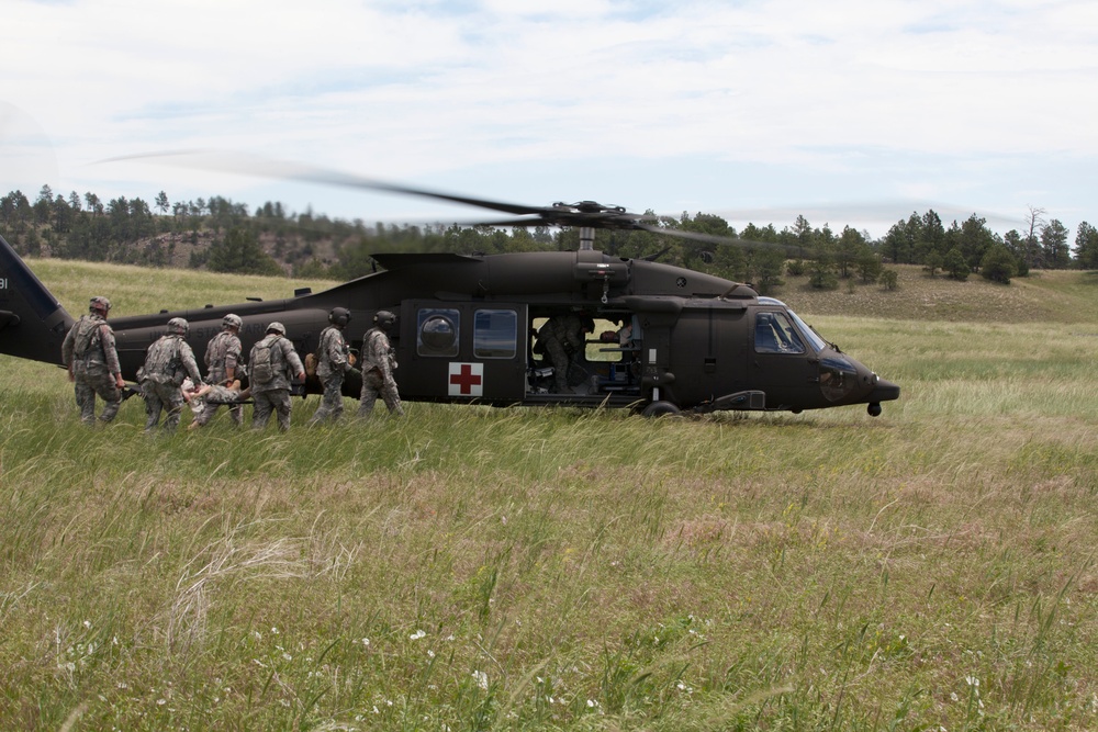 Casualty Evacuation- Golden Coyote Casualty Evacuation- Golden Coyote