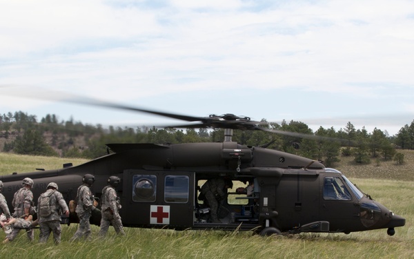 Casualty Evacuation- Golden Coyote