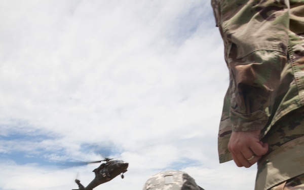 Casualty Evacuation- Golden Coyote