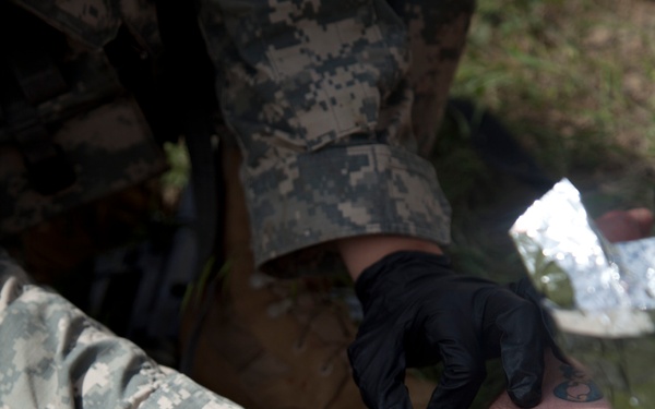 Casualty Evacuation- Golden Coyote