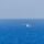160615-N-NX690-008 160615-N-NX690-008