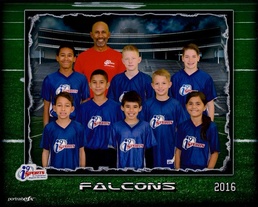 QAS scores purpose in youth sports