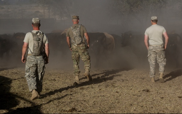 Community Rancher Helps U.S. Army Reserve Soldiers Achieve Mission Readiness