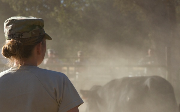 Community Rancher Helps U.S. Army Reserve Soldiers Achieve Mission Readiness