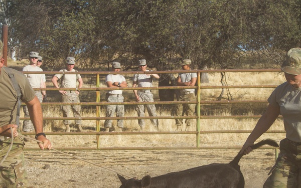 Community Rancher Helps U.S. Army Reserve Soldiers Achieve Mission Readiness