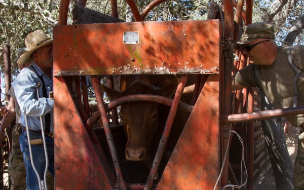Community Rancher Helps U.S. Army Reserve Soldiers Achieve Mission Readiness