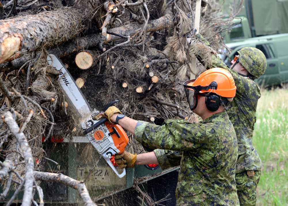 Log Haul