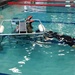 77th TAB train water survival at Fort Hood