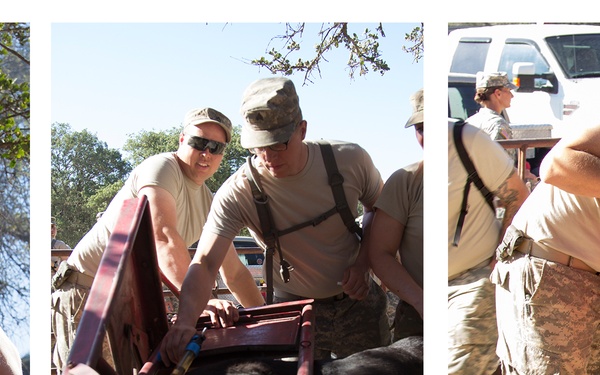 U.S. Reserve Veterinarian Food Inspection Specialists