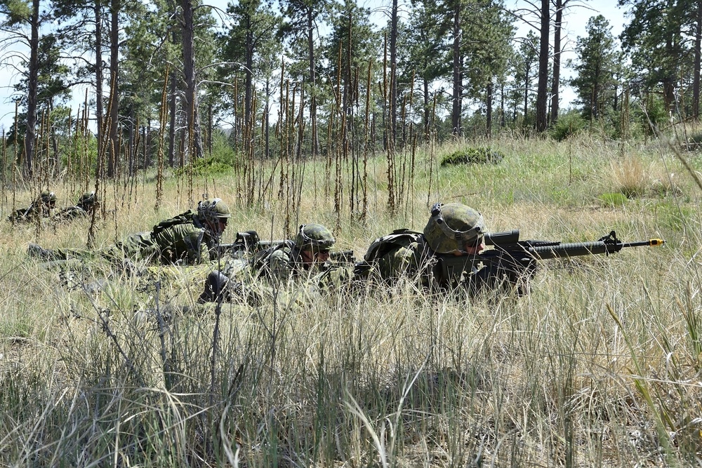 Dismounted Lanes Training