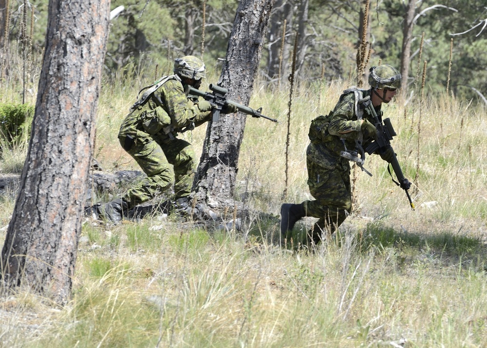 Dismounted Lanes Training