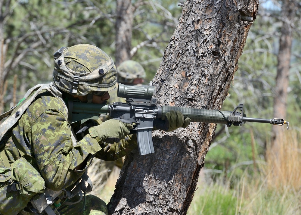 Dismounted Lanes Training