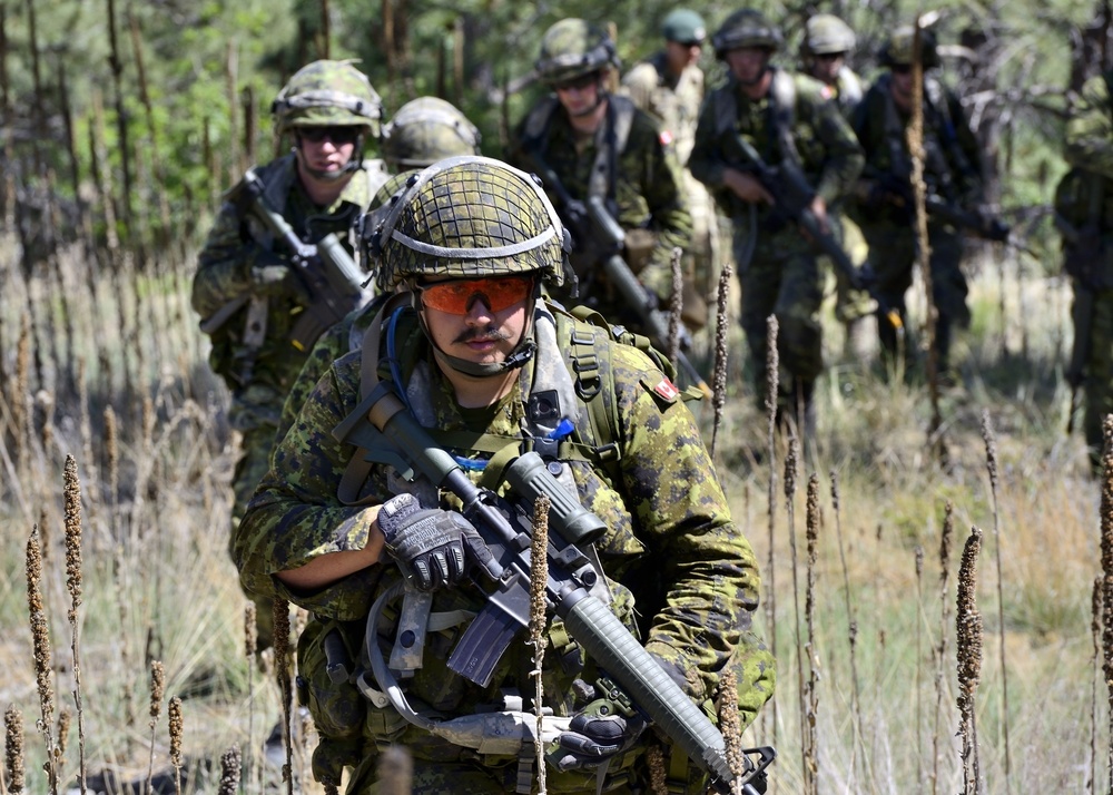 Dismounted Lanes Training