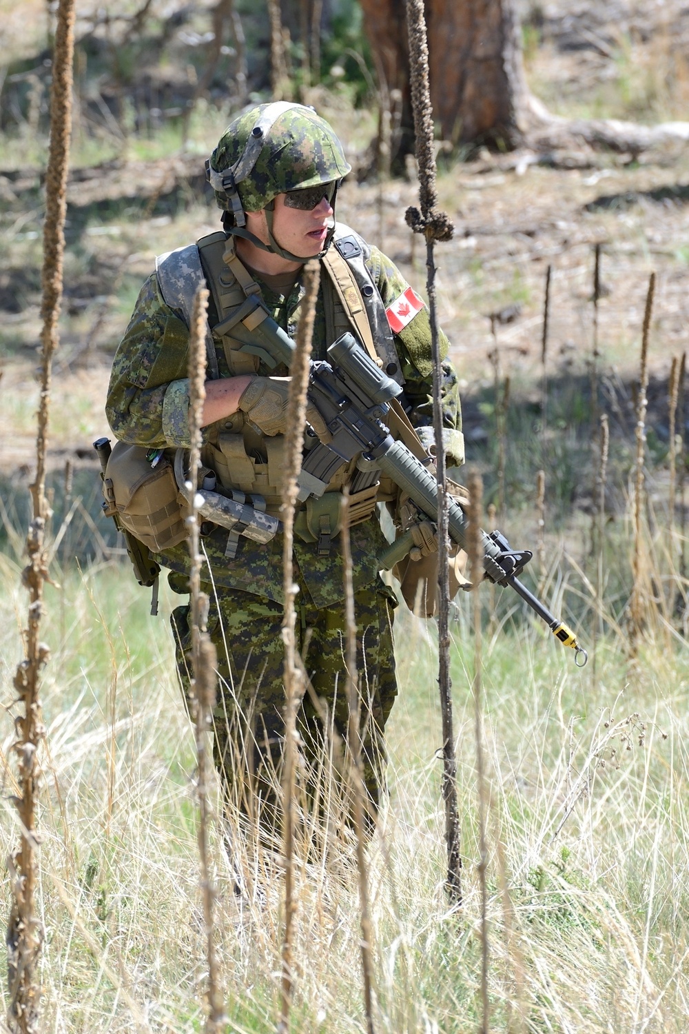 Dismounted Lanes Training