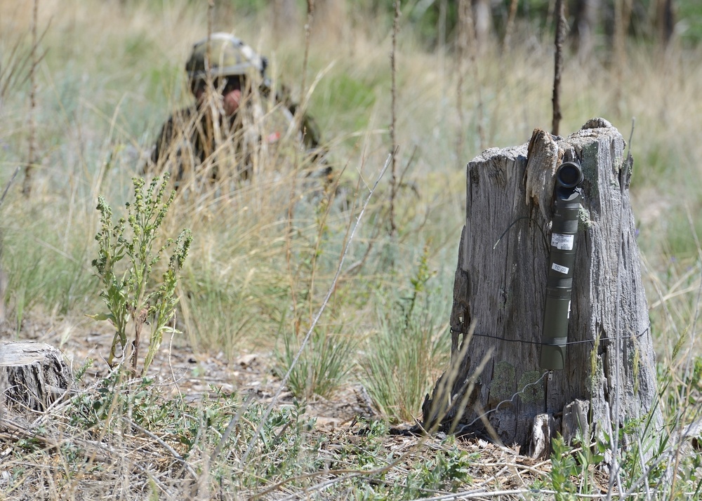 Dismounted Lanes Training