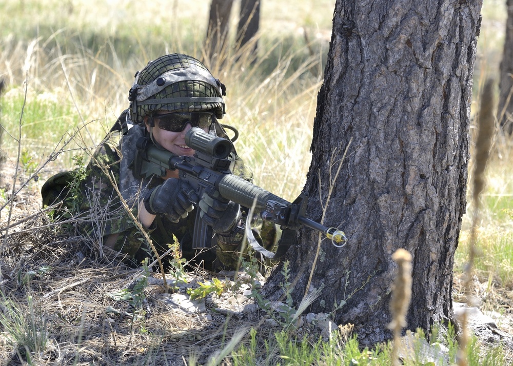 Dismounted Lanes Training