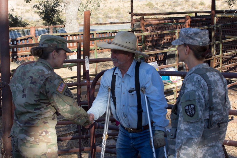 445th and 993rd MDVS Conduct Training