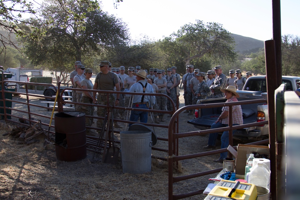 445th and 993rd MDVS Conduct Training