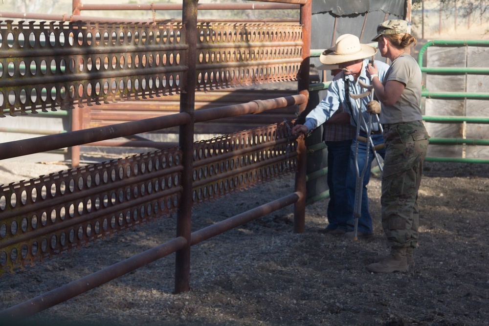 445th and 993rd MDVS Conduct Training