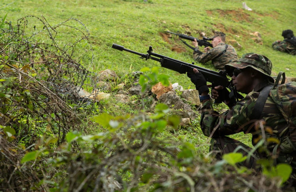 Exercise Tradewinds in full swing in Jamaica