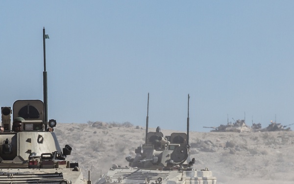 Battle of the Siberian Flats