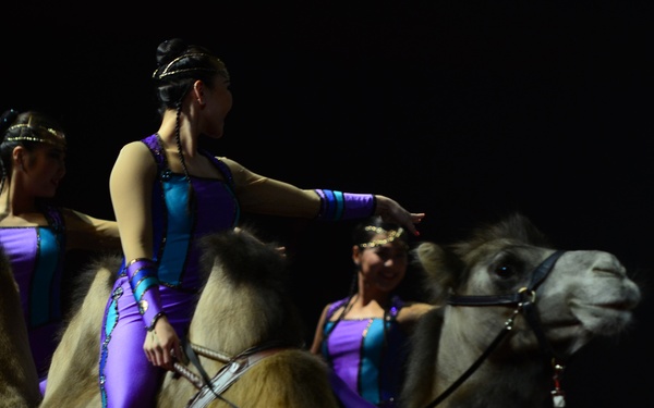 Military hosted at special circus show