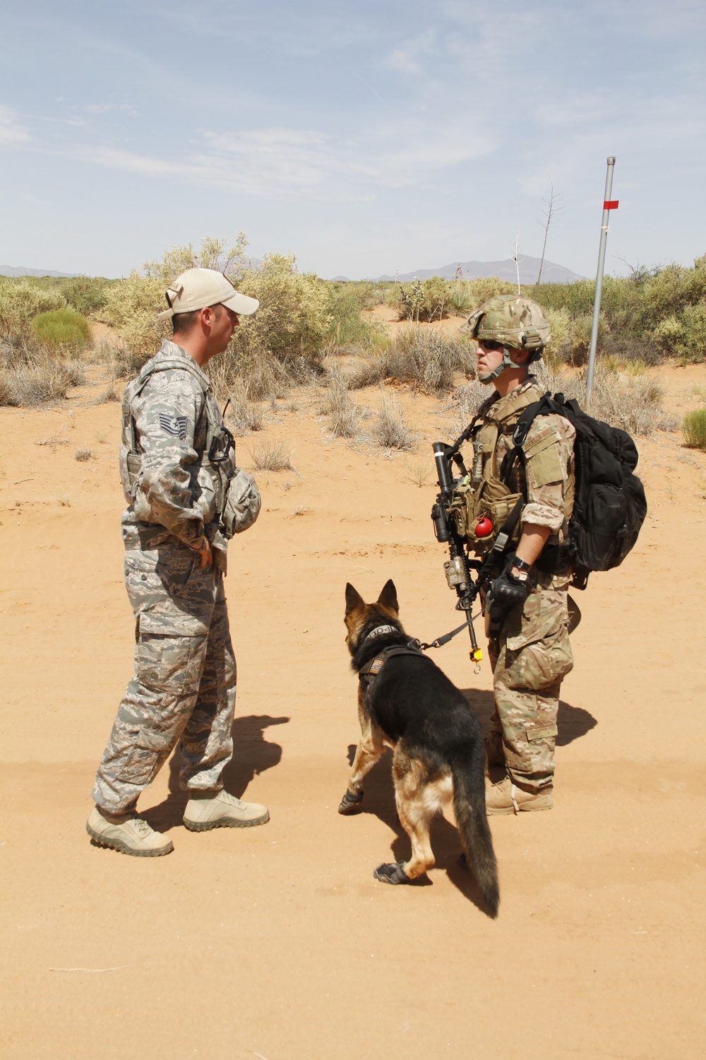 Military working dogs, handlers train