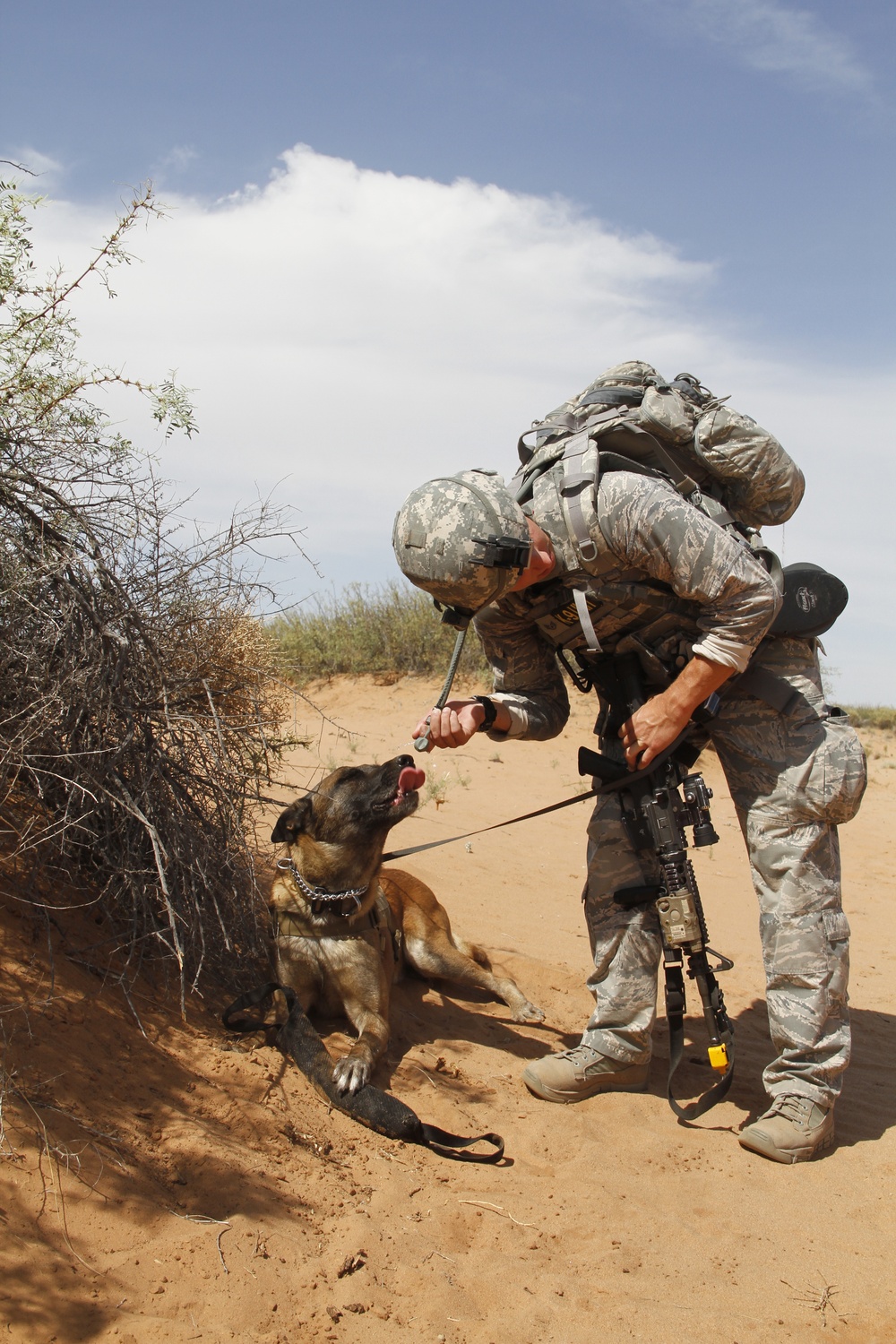 April 2023 Update – Desert Dog Assistance