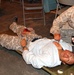 Army Reserve medics assist Navy with mass casualty exercise