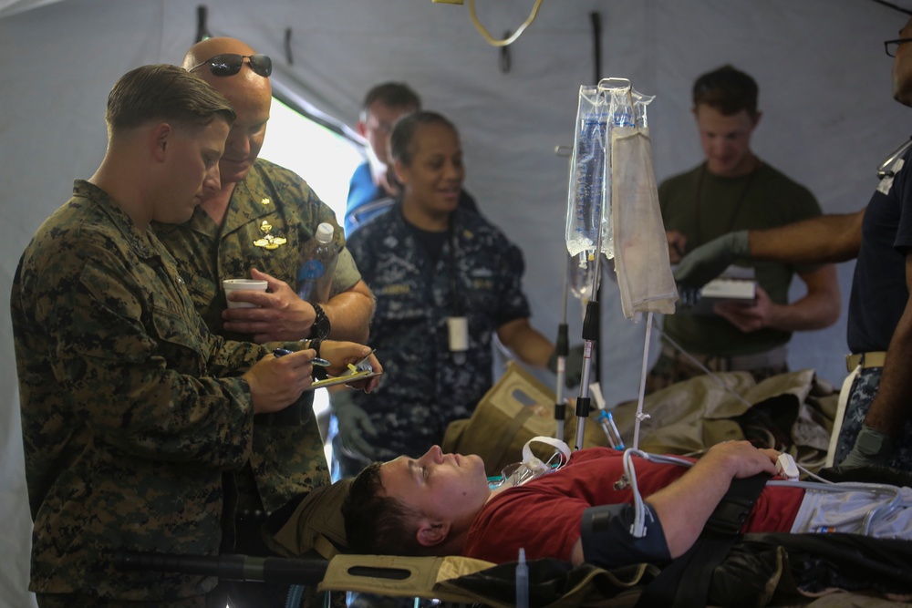 2nd Medical Battalion holds HSAP training